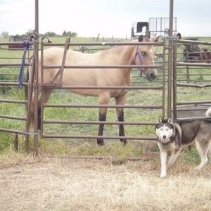 Meet your Posher, Penny